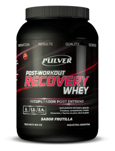 PULVER-recovery-whey-1kg