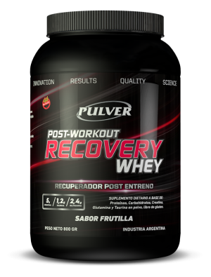 PULVER-recovery-whey-1kg